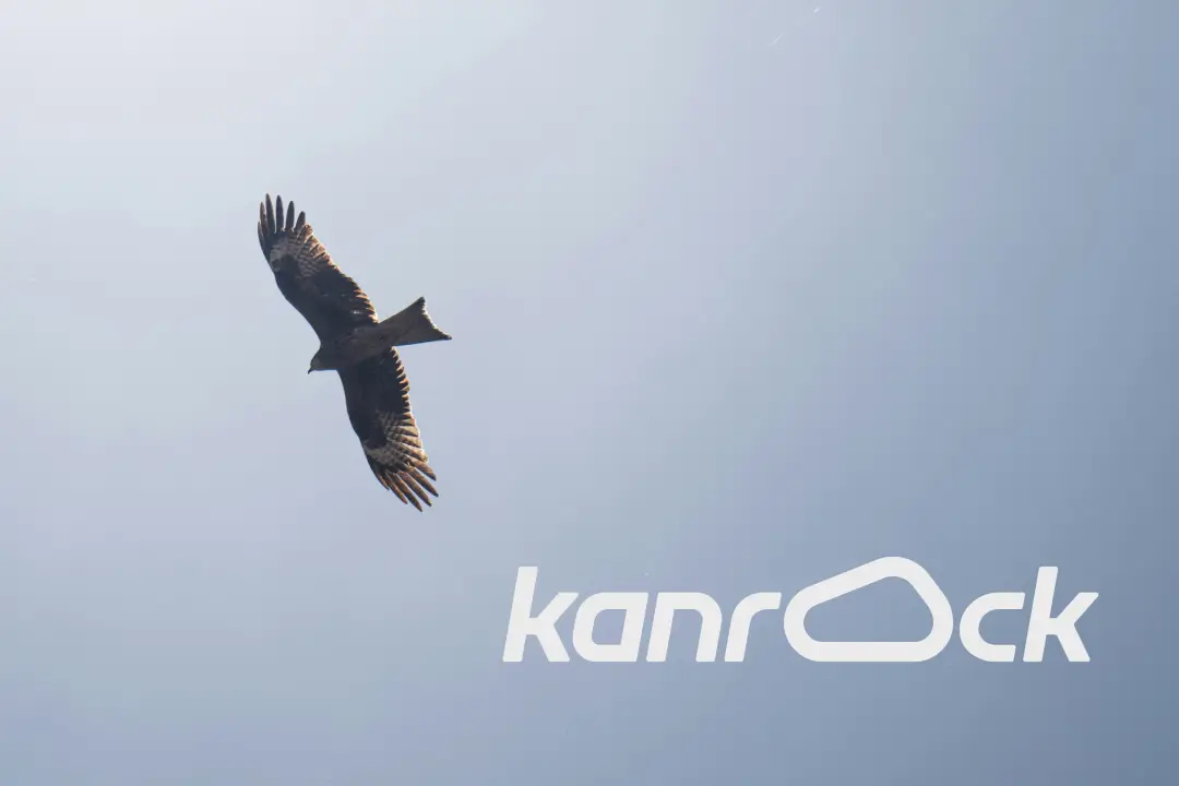 Кейс Kanrock: имиджевая рекламная кампания туристического бренда на Алтае